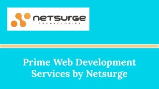 Lead Generation Agency - Netsurge