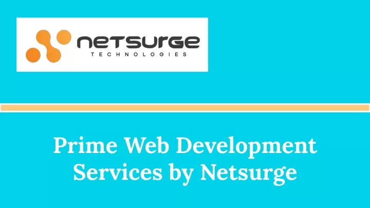 prime web development services by netsurge