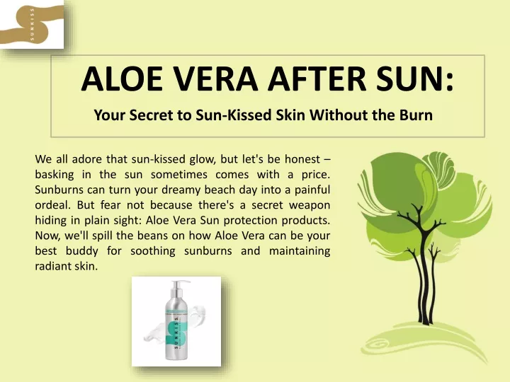 aloe vera after sun