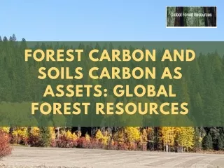 Forest Carbon and Soils Carbon as Assets: Global Forest Resources