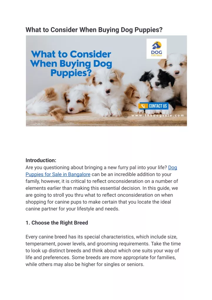 what to consider when buying dog puppies