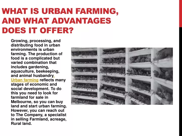 what is urban farming and what advantages does it offer