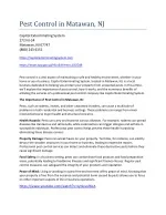 Capitol-Exterminating-System-Pest-Control-Matawan-NJ - slide 1