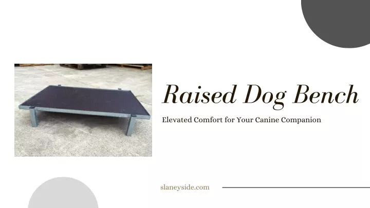 raised dog bench