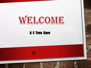 welcome