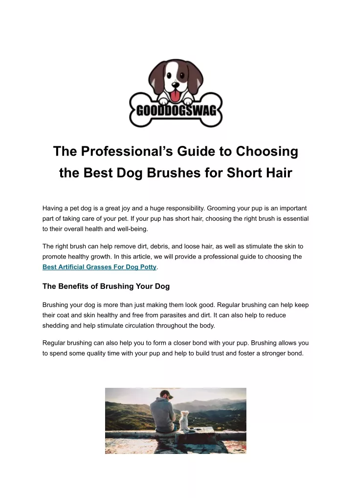 the professional s guide to choosing the best