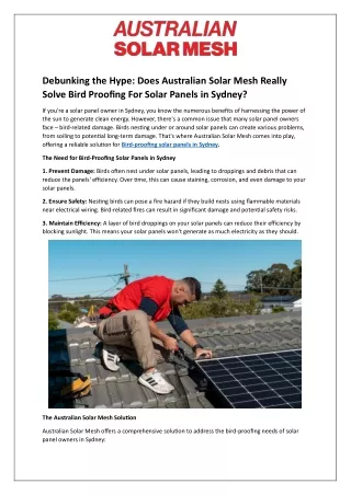 Does Australian Solar Mesh Really Solve Bird Proofing Solar Panels in Sydney