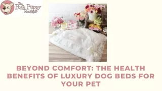 Beyond Comfort The Health Benefits of Luxury Dog Beds for Your Pet