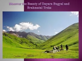 Discover the Beauty of Dayara Bugyal and Brahmatal Treks