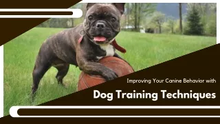 Expert Canine Skill Development Center