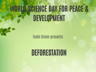deforestation