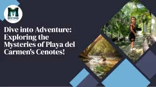 dive into adventure exploring the mysteries of playa del carmens cenotes