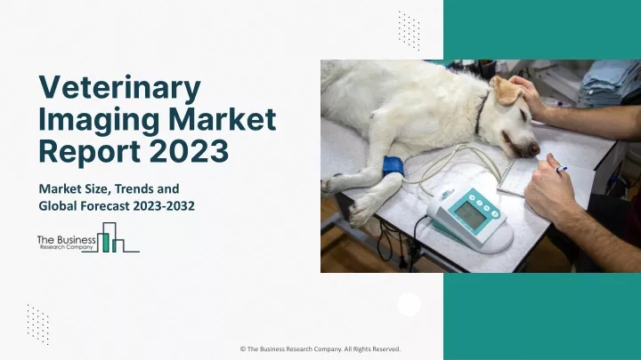 veterinary imaging market report 2023