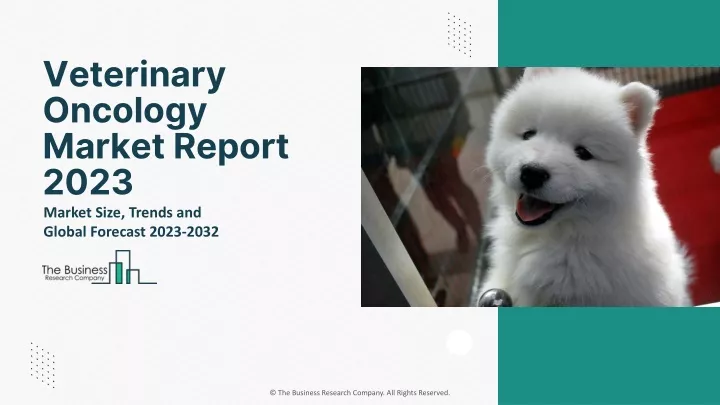 veterinary oncology market report 2023