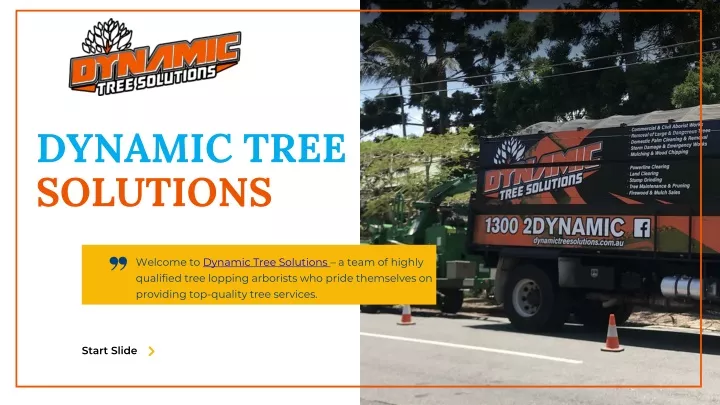 dynamic tree solutions