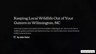 Keeping Local Wildlife Out of Your Gutters in Wilmington NC