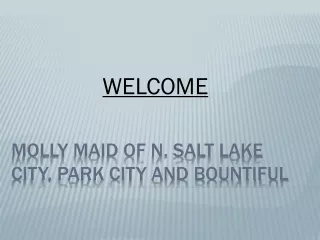 molly maid of n salt lake city park city and bountiful