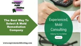Select A Mold Remediation Company