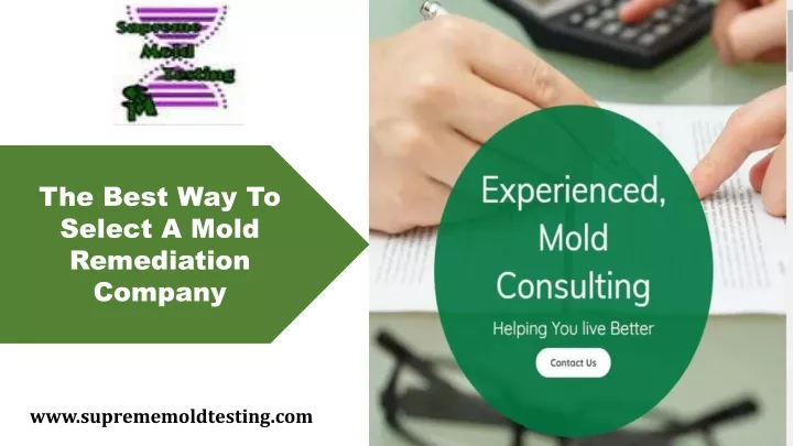 the best way to select a mold remediation company