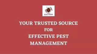 Top-Tier Pest Control Services in Maine