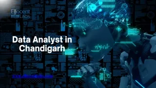data analyst in chandigarh
