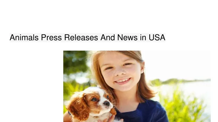 animals press releases and news in usa