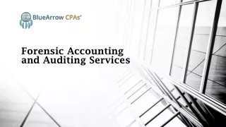Forensic Accounting and Auditing Services