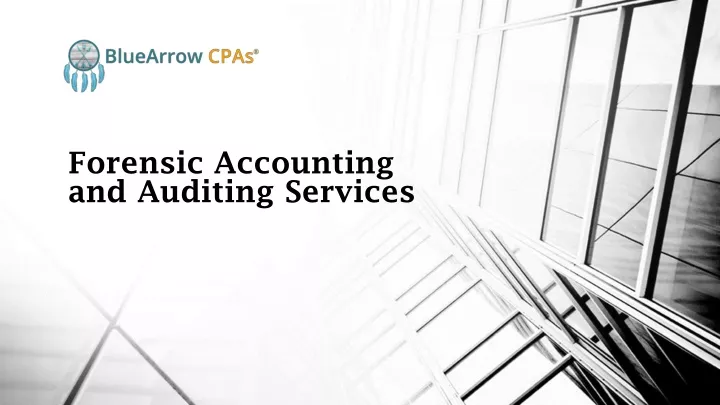 forensic accounting and auditing services