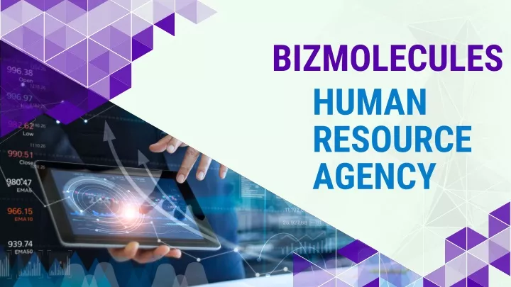 bizmolecules human resource agency