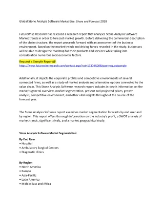 global stone analysis software market size share