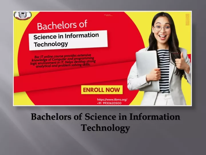 bachelors of science in information technology