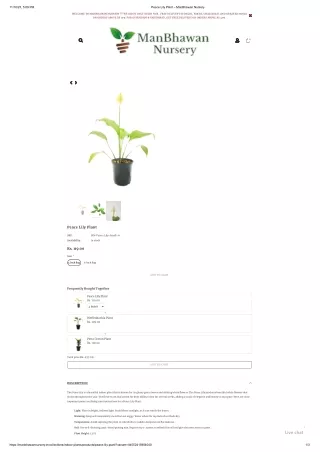 Peace Lily Plant – ManBhawan Nursery