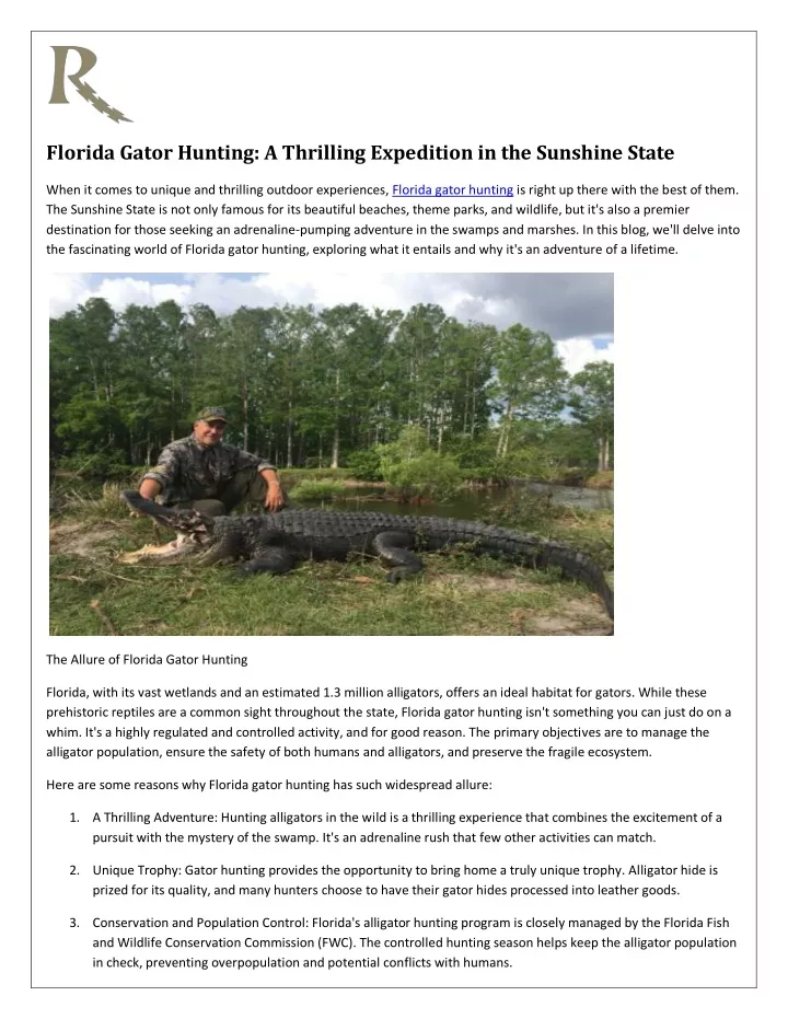 florida gator hunting a thrilling expedition
