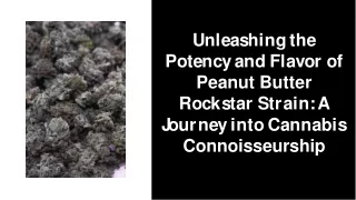 Unleashing the Potency and Flavor of Peanut Butter Rockstar Strain A Journey into Cannabis Connoisseurship