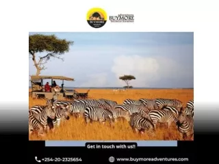 The Activities to Enjoy During a Kenya Luxury Safari
