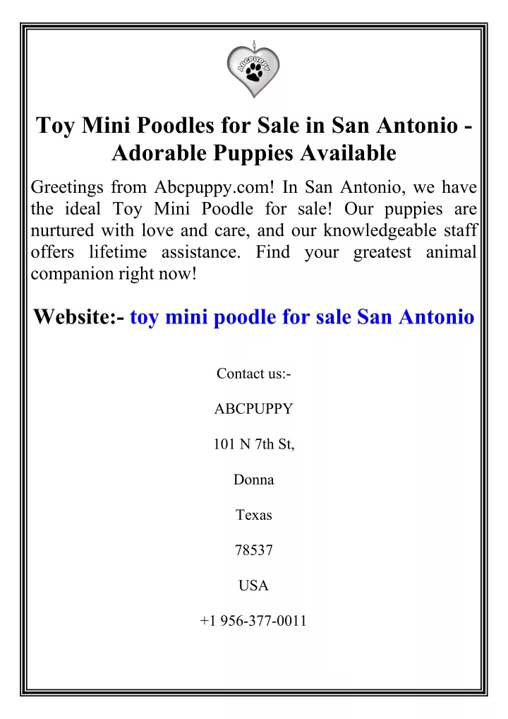 toy mini poodles for sale in san antonio adorable