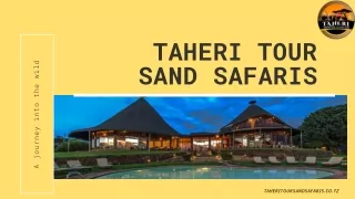 Best Tour Operators in Tanzania