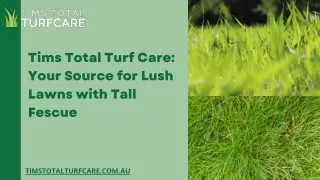 Natural Grass Adelaide