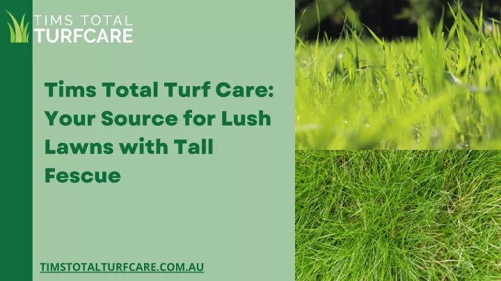 tims total turf care your source for lush lawns