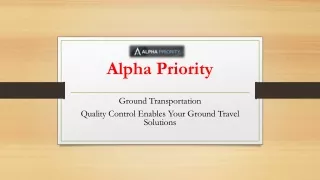VIP Airport Assistance by Fast Track- Alphapriority