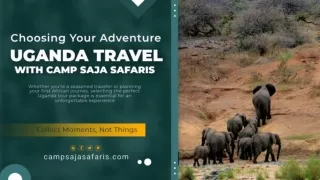 Crafting Memories: Bespoke Uganda Safaris by Camp Saja