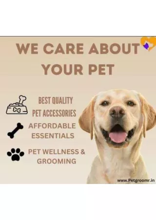Top Pet Grooming Services in Delhi