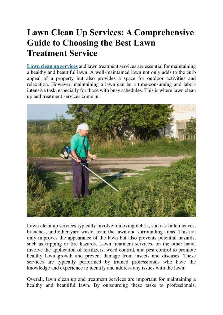 lawn clean up services a comprehensive guide