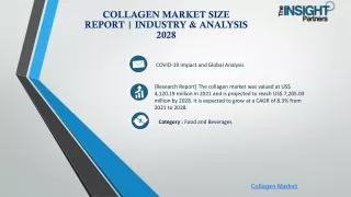 collagen market size report industry analysis 2028