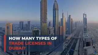 Types of Trade License in Dubai
