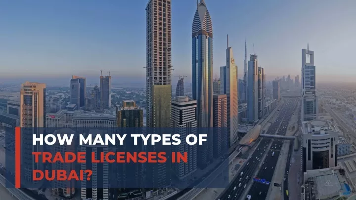 how many types of trade licenses in dubai