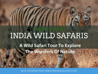Explore Untamed Beauty with Pench Holiday Packages by India Wild Safaris