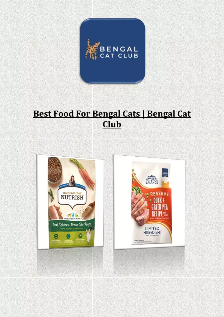 best food for bengal cats bengal cat club