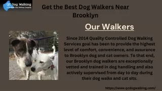 Get the Best Dog Walkers Near Brooklyn
