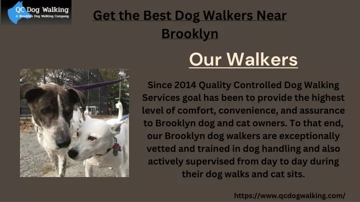 get the best dog walkers near brooklyn